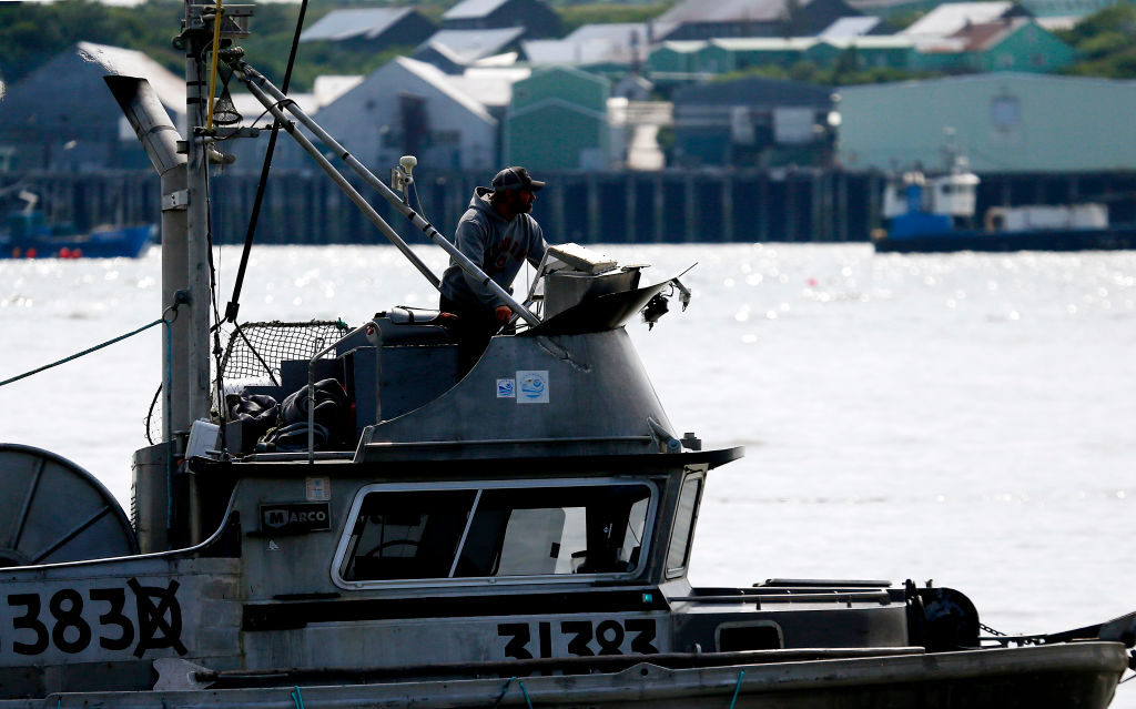 A fishing boat captian navigates past the canneries and fish-processing plants along the Naknek River on the way to fish the waters of Bristol Bay. 