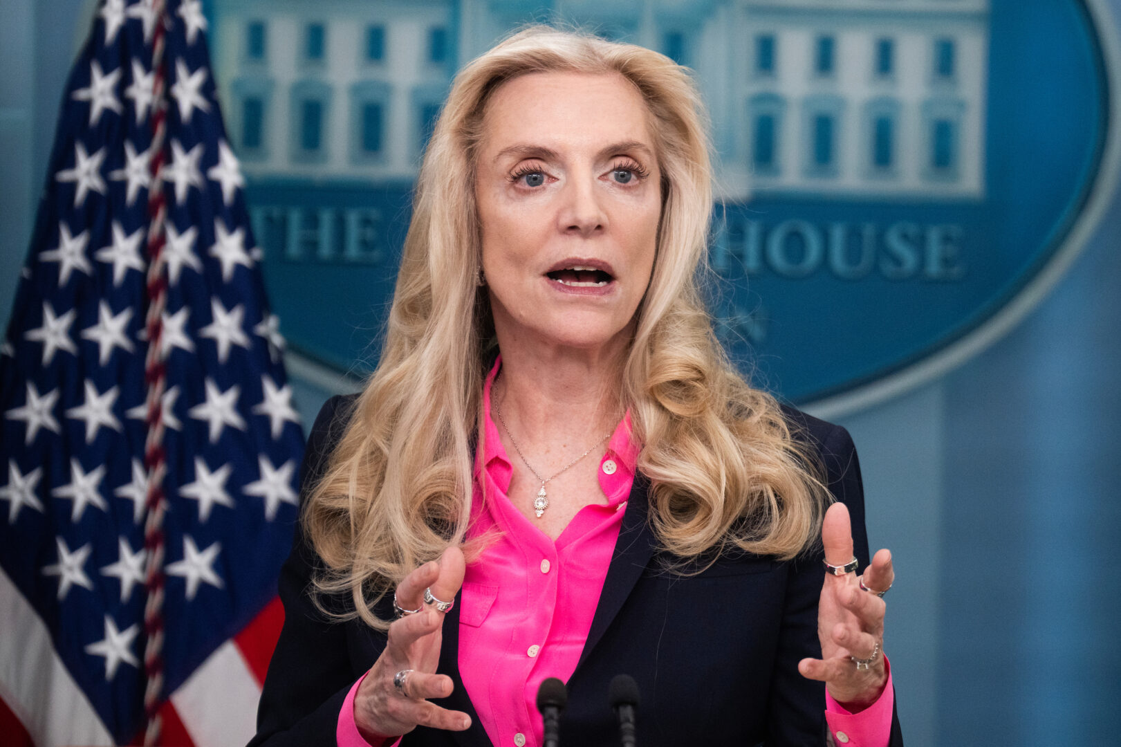 Lael Brainard, director of the National Economic Council, said China is flooding the global marketplace with underpriced products. 